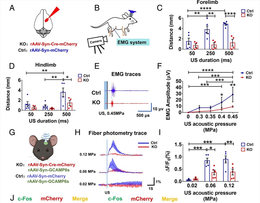 Lei_nature communication_PNAS_3