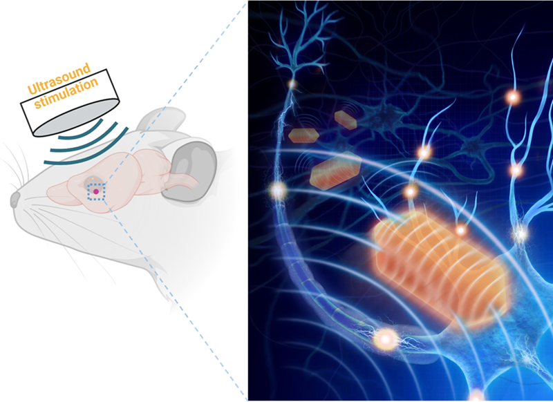 Lei_nature communication_PNAS_4