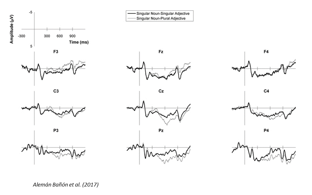 ERP figure. See text below for description.