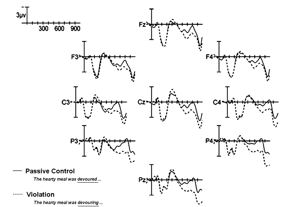 ERP figure. See text below for description.