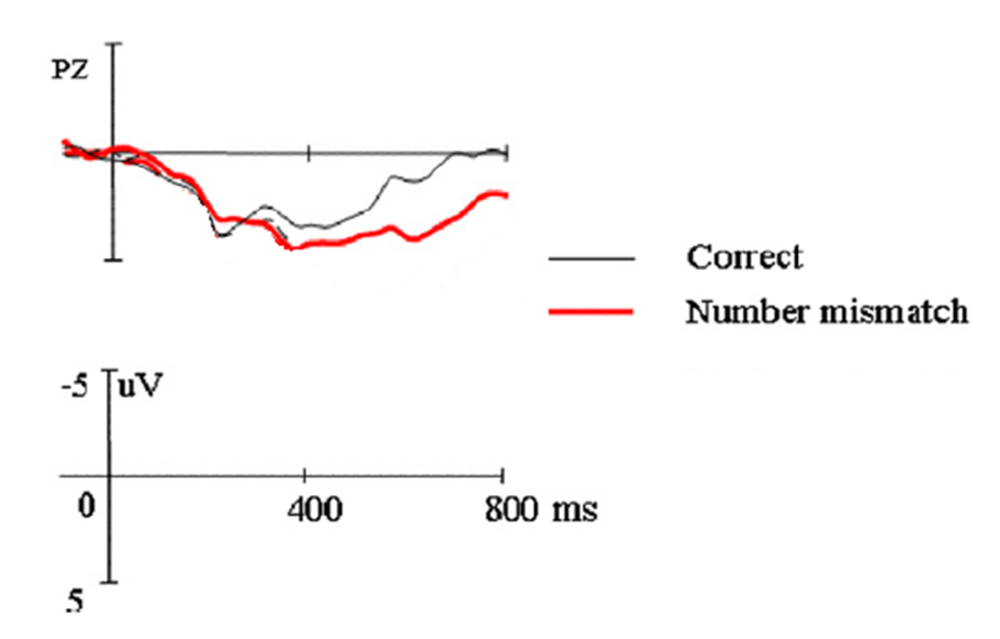 ERP figure. See text below for description.