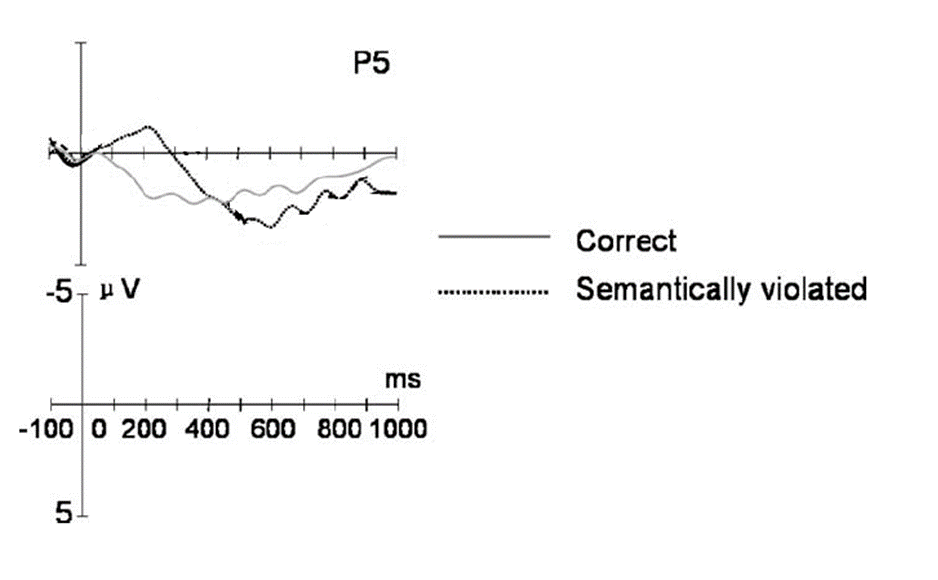 ERP figure. See text below for description.