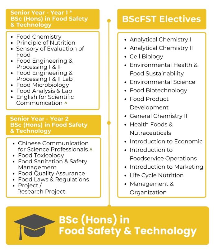 15454-SY_FST_Curriculum_s