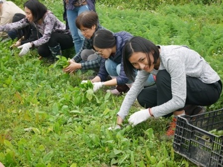 Exciting harvest time means a reflection on the value of food