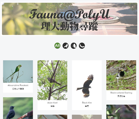 the web-based Fauna@PolyU