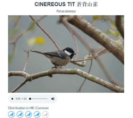 Listen to a bird call while browsing Fauna@PolyU