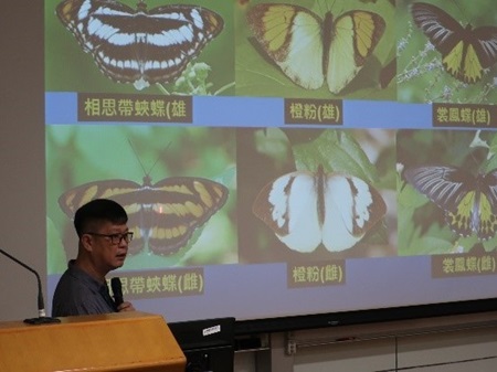 Invited speaker shares tips on distinguishing butterflies