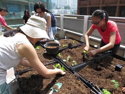 Participants receive hands-on organic farming training and experience