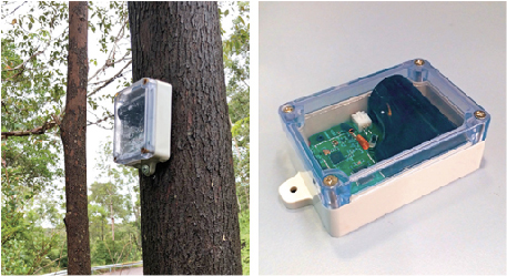 A sensor installed on a tree trunk collects data on a tree’s root-plate movement and stability