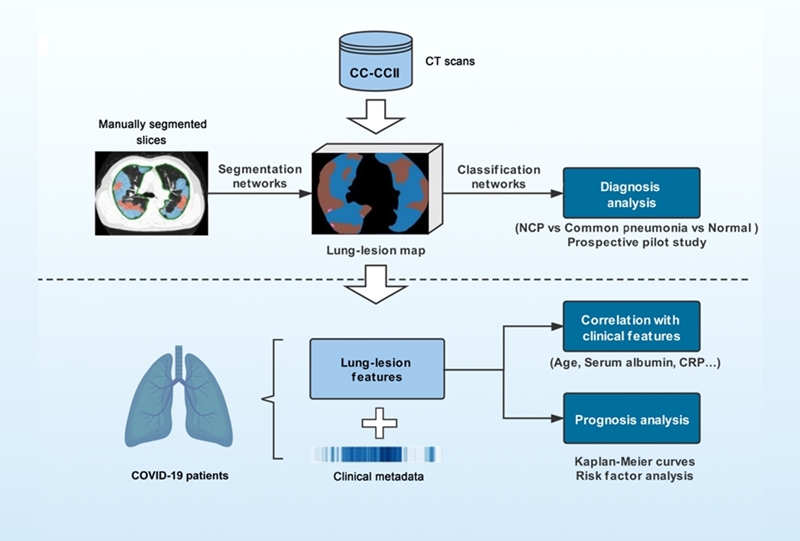 AI-assisted system for COVID-19 pneumonia diagnosis and prognosis prediction