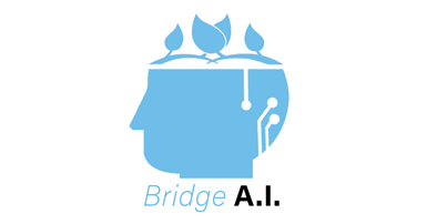 Bridge AI Limited