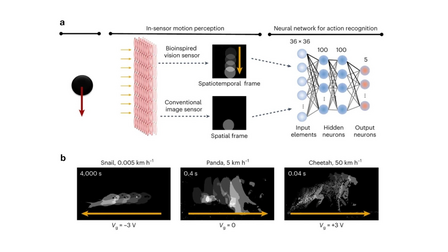 Bioinspired In-sensor Computing Architectures and Optimisation in Sensory AI Systems