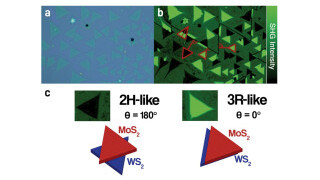 Advancements in Ferroelectric Untwisted Heterobilayers: A Novel Approach