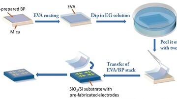 Fabrication of Ultrathin Black Phosphorus Films on Silicon Substrates using Wet Transfer Technique