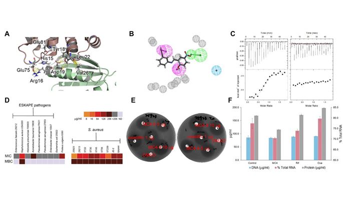 Novel-Antimicrobial-Agent-Development-from-Unprecedented-Targets